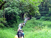 PA020012.JPG (443606 bytes)