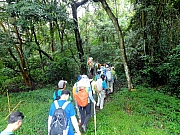 PA020017.JPG (611842 bytes)