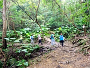 PA020022.JPG (447195 bytes)