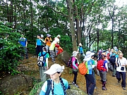 PA020031.JPG (494021 bytes)