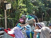 PA160045.JPG (386735 bytes)
