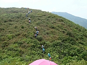 PA230078.JPG (528452 bytes)