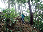 PA300007.JPG (505509 bytes)
