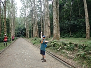 PA300021.JPG (494115 bytes)