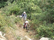 PB130021.JPG (610852 bytes)