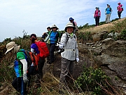 PB130091.JPG (466360 bytes)
