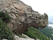 PB130261.JPG (404529 bytes)