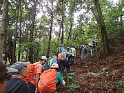 PB270011.JPG (520731 bytes)