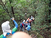 PB270031.JPG (560392 bytes)