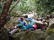 PB270041.JPG (497092 bytes)