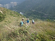 PC110040.JPG (522806 bytes)