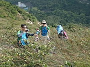 PC110041.JPG (617101 bytes)