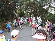 PC110051.JPG (442645 bytes)