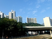 PC180003.JPG (290152 bytes)