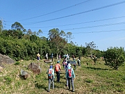 PC180014.JPG (547034 bytes)