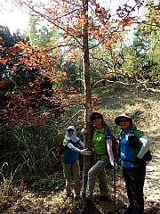 PC180018.JPG (701193 bytes)