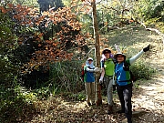 PC180019.JPG (735522 bytes)