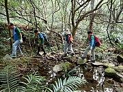 PC180020.JPG (548112 bytes)