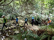 PC180021.JPG (622263 bytes)