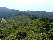 PC180037.JPG (419549 bytes)