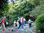 PC250008.JPG (496336 bytes)
