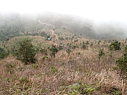 PC250047.JPG (467100 bytes)