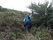 PC250056.JPG (544847 bytes)