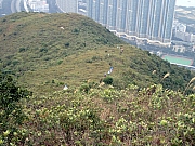 PC250058.JPG (500130 bytes)