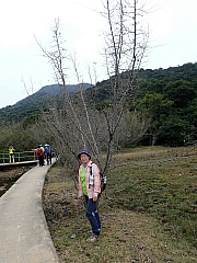 P1010013.JPG (473623 bytes)