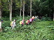 P1150007.JPG (654808 bytes)