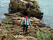 P1150079.JPG (468836 bytes)