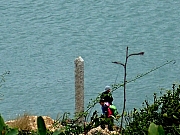 P1150107.JPG (248515 bytes)