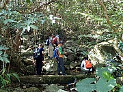 P1220144.JPG (612211 bytes)