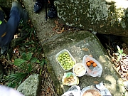 P1220147.JPG (409501 bytes)