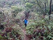 P1300046.JPG (721411 bytes)
