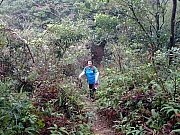 P1300047.JPG (705412 bytes)