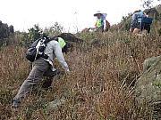 P2050015.JPG (539412 bytes)