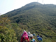P2120010.JPG (459385 bytes)