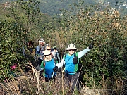 P2120013.JPG (545106 bytes)