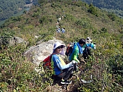 P2120022.JPG (610475 bytes)