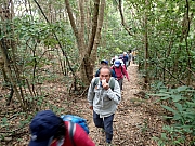 P2190009.JPG (487265 bytes)