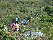 P2190063.JPG (595025 bytes)