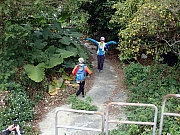 P2190079.JPG (507753 bytes)