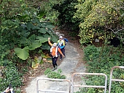 P2190080.JPG (482032 bytes)