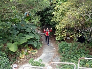 P2190081.JPG (534501 bytes)
