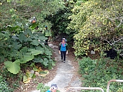 P2190083.JPG (585333 bytes)