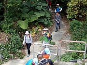 P2190086.JPG (438042 bytes)