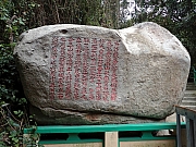 P2190103.JPG (519438 bytes)