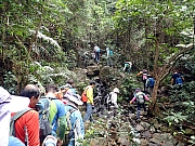 P2260006.JPG (638426 bytes)