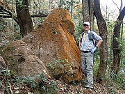 P2260013.JPG (637402 bytes)